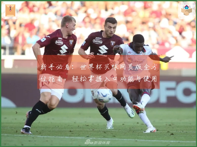 新手必看：世界杯买球网页版全方位指南，轻松掌握入口功能与使用体验