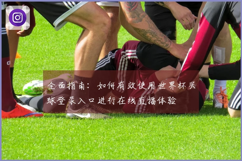 全面指南：如何有效使用世界杯买球登录入口进行在线直播体验